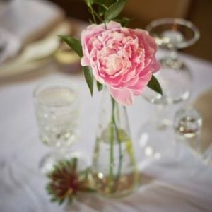 Meet your Posher, Alli